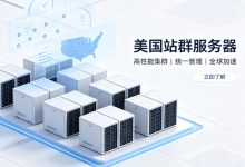 美国站群服务器推荐多IP站群建站如何选择合适服务器-djvps820