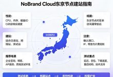 NoBrand Cloud日本VPS东京节点性能、线路与建站-djvps820