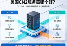 美国CN2服务器哪个好？CN2 GIA、CN2 GT线路区别与选择指南-djvps820