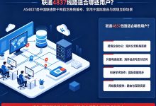 AS4837线路是什么意思?联通4837线路适合哪些用户-djvps820