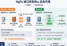 Nginx端口转发和反向代理有什么区别?-djvps820